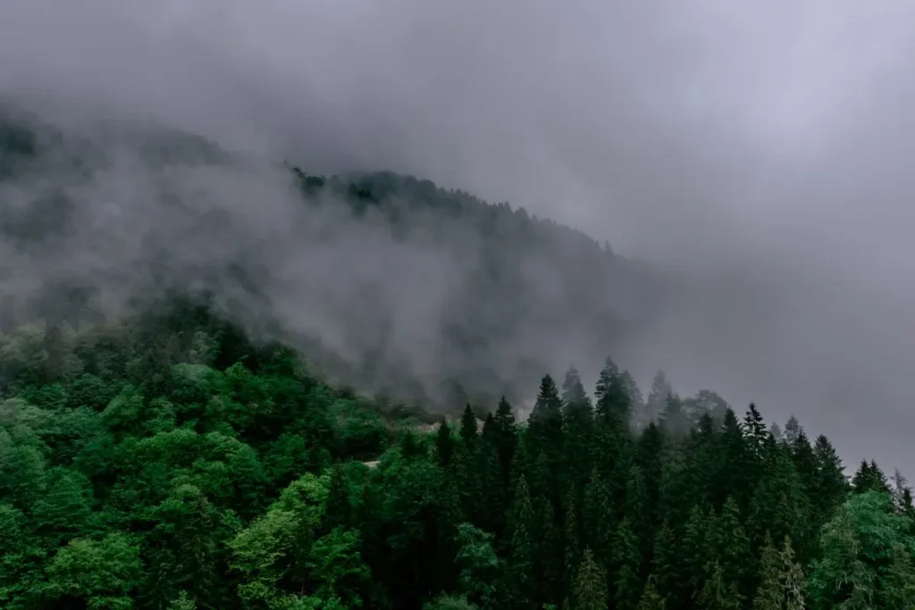 Chamarel après la pluie : ce qui change sur le plateau