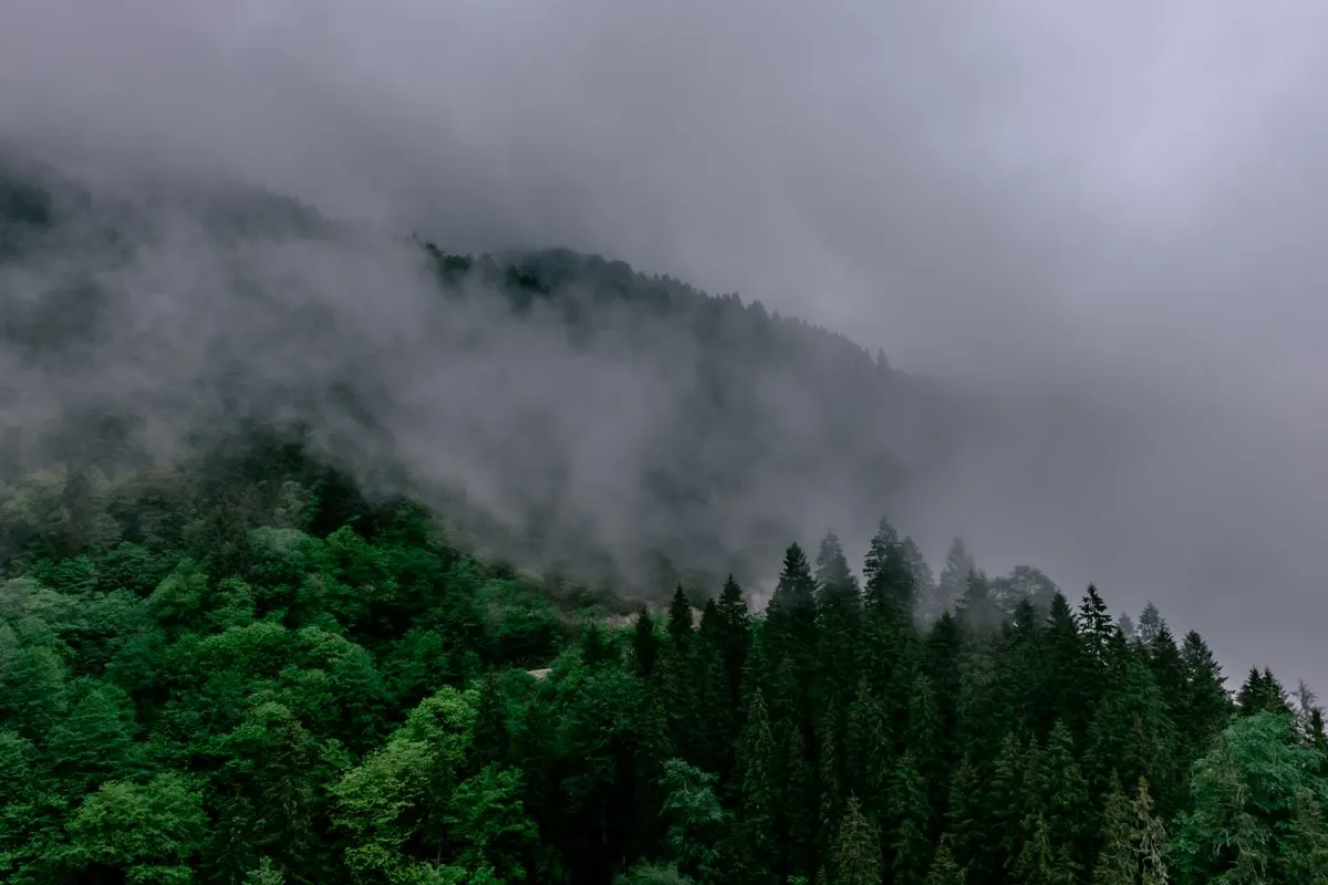 Chamarel après la pluie : ce qui change sur le plateau
