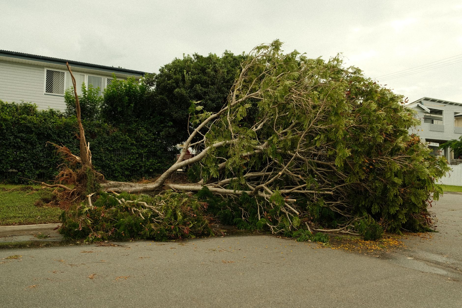 Préparer votre maison aux cyclones : guide pratique pour les Mauriciens